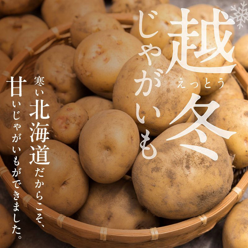 2026年発送分先行受付！ホクホク あま～い！ 低温貯蔵！北海道産 越冬じゃがいも はるか 約10kg_S041-0010