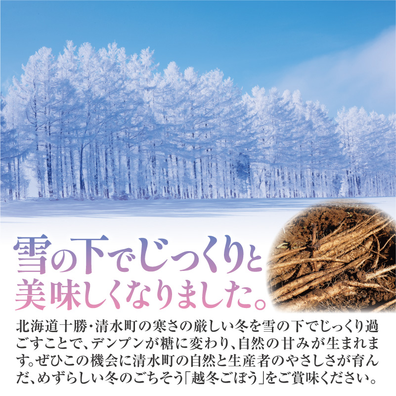 先行受付！2026年4月頃～発送開始！北海道十勝清水町産 春堀り 新鮮 越冬ごぼう！ 5kg 北海道産 ごぼう 土付ごぼう ゴボウ 根菜_S045-0001