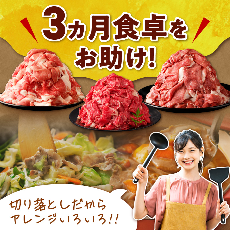 【3回定期便】お料理に大活躍！切り落とし肉食べ比べ定期便_S999-0015