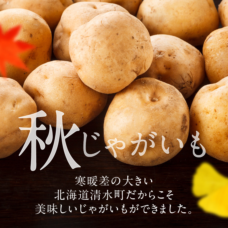 今が旬！すぐ届く！やっぱり定番！ホクホク食感が魅力の男爵いも 約10kg_S041-0006