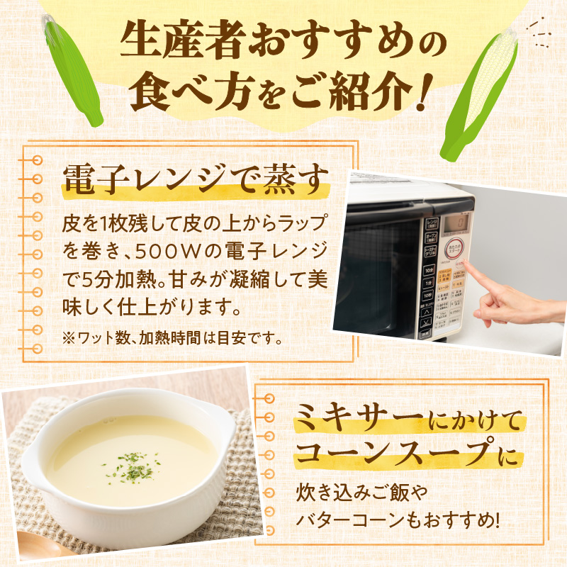 【2026年8月～発送開始！】白いとうもろこし ホワイトショコラ サイズ混合 10～12本_S021-0018