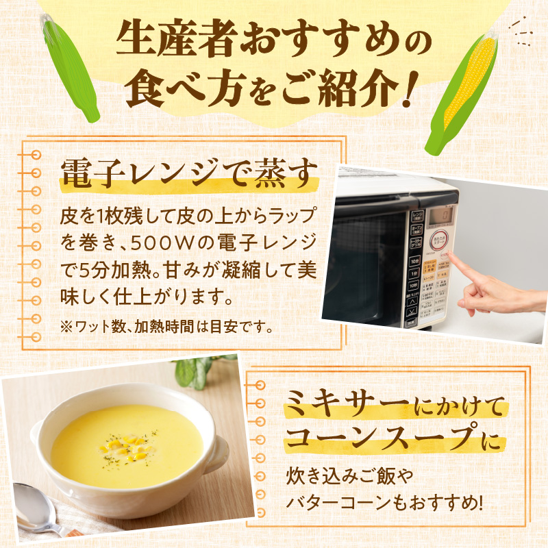 【2026年8月～発送開始!】黄金の甘さ ゴールドラッシュ!サイズ混合 10～12本_S021-0019