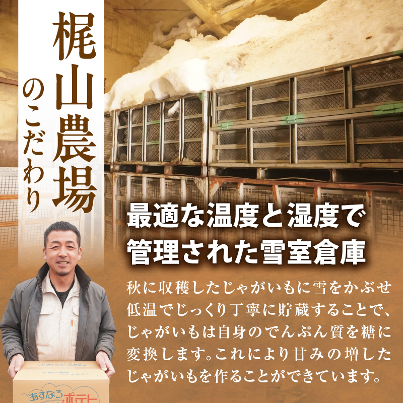 2026年発送分先行受付！ホクホク あま～い！ 低温貯蔵！北海道産 越冬じゃがいも はるか 約5kg_S041-0009