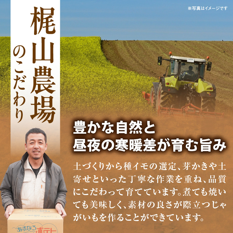 今が旬！すぐ届く！やっぱり定番！ホクホク食感が魅力の男爵いも 約10kg_S041-0006