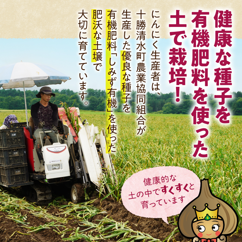 北海道十勝熟成黒にんにく(6玉入)×1箱_S021-0005