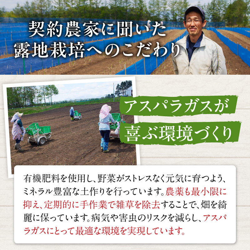 【2026年発送先行予約！】訳ありアスパラガス 1kg！  _S021-0012