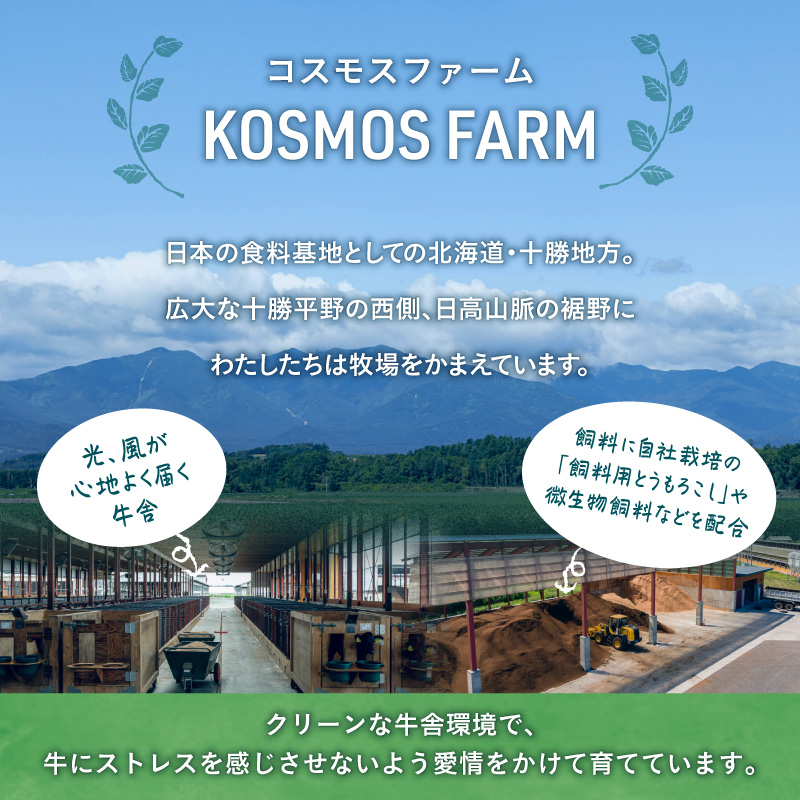 十勝清水コスモスファーム 幸せカレー 200g×6食_S028-0003