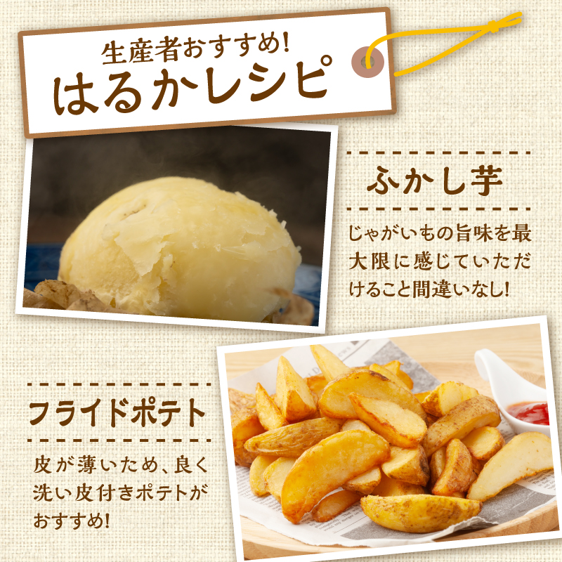 2026年発送分先行受付！ホクホク あま～い！ 低温貯蔵！北海道産 越冬じゃがいも はるか 約5kg_S041-0009