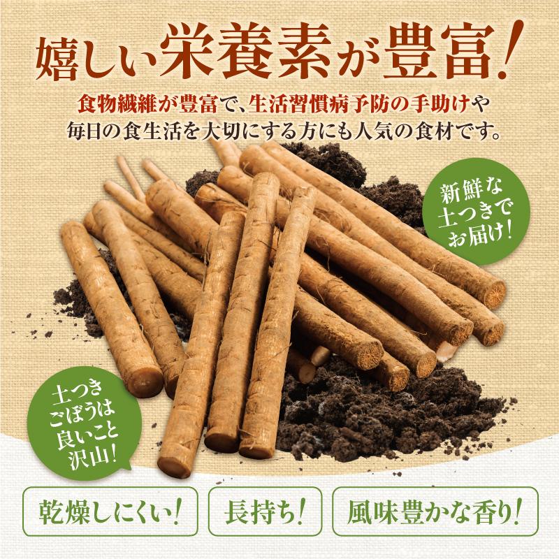 先行受付！2026年10月頃～発送開始！北海道十勝清水町産 秋堀り 新鮮 ごぼう！ 10kg 北海道産 ごぼう 土付ごぼう ゴボウ 根菜_S045-0004