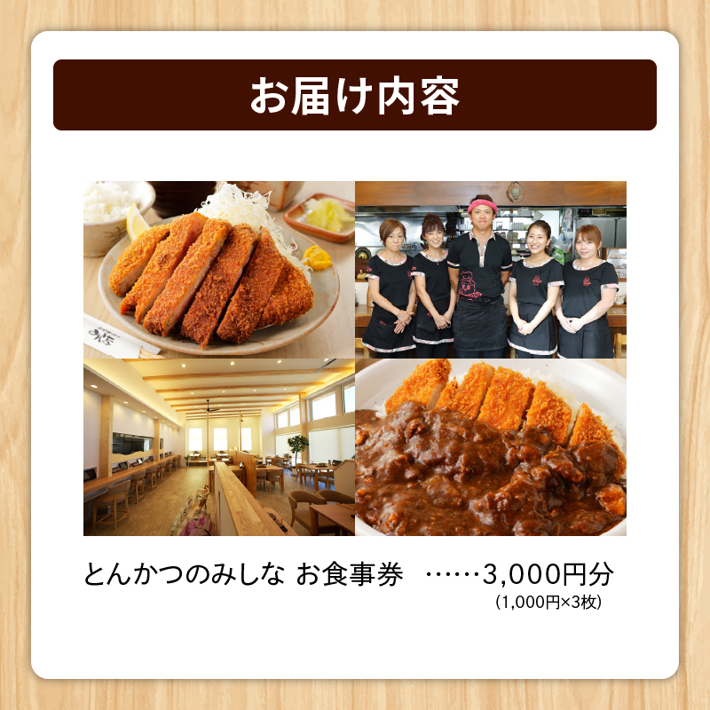とんかつのみしな お食事券_S011-0005