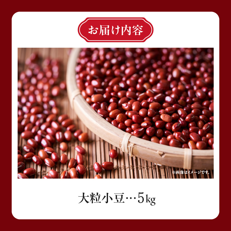 MORITABEANS プレミア小豆 5kg 新豆 2024年産 採れたて 収穫したての小豆をお届けします_S001-0003