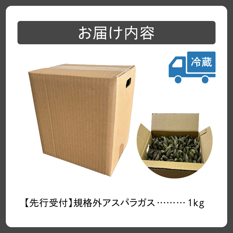 【2026年発送先行予約！】訳ありアスパラガス 1kg！  _S021-0012