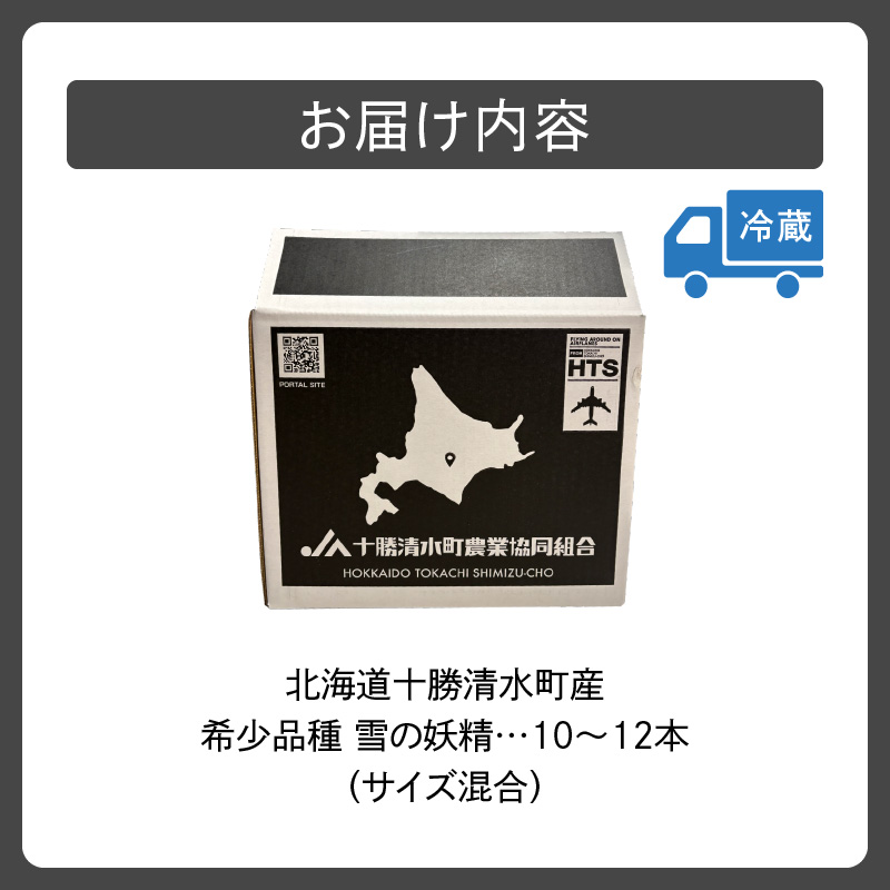 【2026年8月～発送開始！】白いとうもろこし 雪の妖精 サイズ混合 10～12本_S021-0017