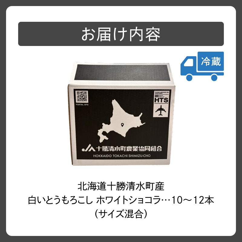 【2026年8月～発送開始！】白いとうもろこし ホワイトショコラ サイズ混合 10～12本_S021-0018