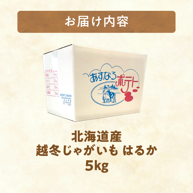 2026年発送分先行受付！ホクホク あま～い！ 低温貯蔵！北海道産 越冬じゃがいも はるか 約5kg_S041-0009