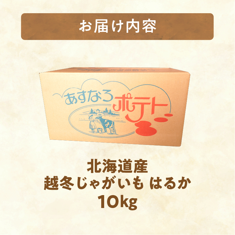 2026年発送分先行受付！ホクホク あま～い！ 低温貯蔵！北海道産 越冬じゃがいも はるか 約10kg_S041-0010