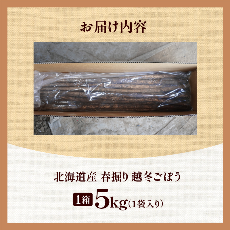先行受付！2026年4月頃～発送開始！北海道十勝清水町産 春堀り 新鮮 越冬ごぼう！ 5kg 北海道産 ごぼう 土付ごぼう ゴボウ 根菜_S045-0001