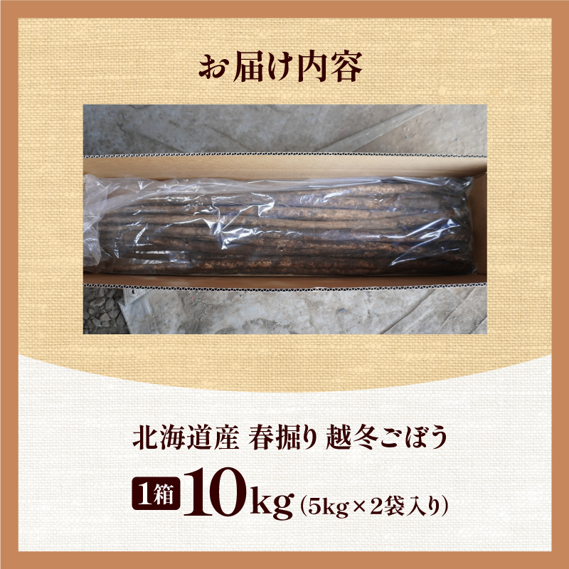 先行受付！2026年4月頃～発送開始！北海道十勝清水町産 春堀り 新鮮 越冬ごぼう！ 10kg 北海道産 ごぼう 土付ごぼう ゴボウ 根菜_S045-0002