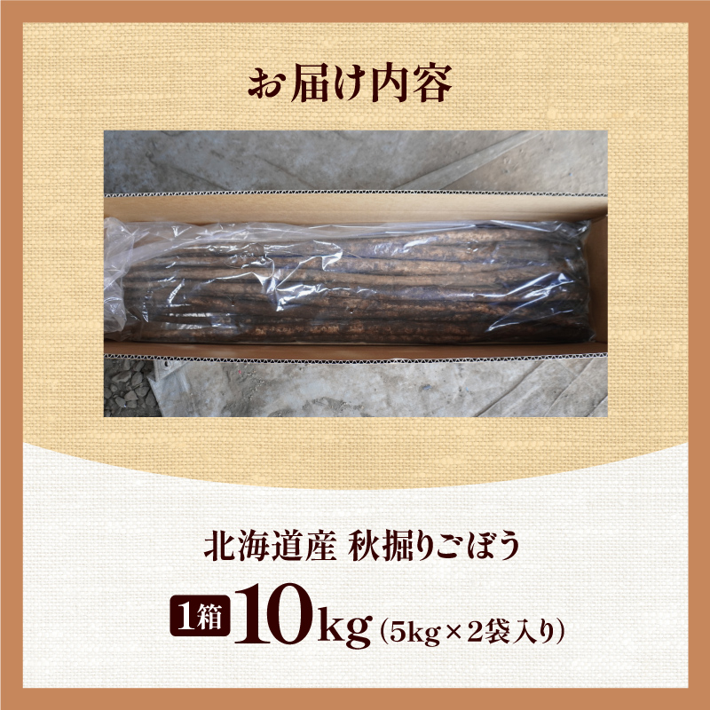 先行受付！2026年10月頃～発送開始！北海道十勝清水町産 秋堀り 新鮮 ごぼう！ 10kg 北海道産 ごぼう 土付ごぼう ゴボウ 根菜_S045-0004