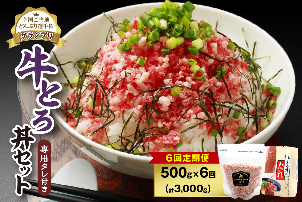 【6回定期便】人気の牛とろ丼セット 500g 専用タレ付き_S006-0070