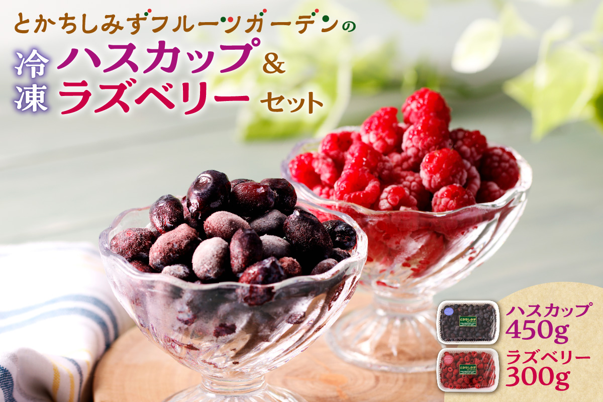 【2026年発送先行予約！】とかちしみずフルーツガーデンのハスカップ&ラズベリーセット_S009-0017