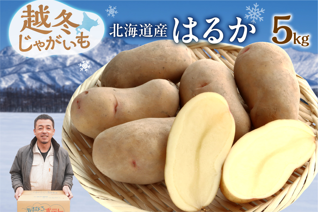2026年発送分先行受付！ホクホク あま～い！ 低温貯蔵！北海道産 越冬じゃがいも はるか 約5kg_S041-0009