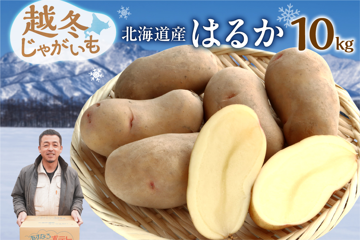 2026年発送分先行受付！ホクホク あま～い！ 低温貯蔵！北海道産 越冬じゃがいも はるか 約10kg_S041-0010