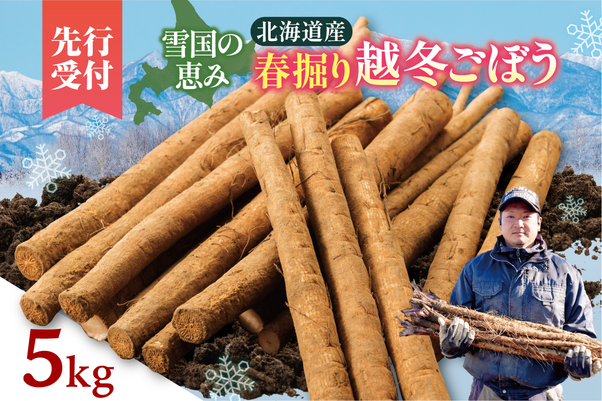 先行受付！2026年4月頃～発送開始！北海道十勝清水町産 春堀り 新鮮 越冬ごぼう！ 5kg 北海道産 ごぼう 土付ごぼう ゴボウ 根菜_S045-0001