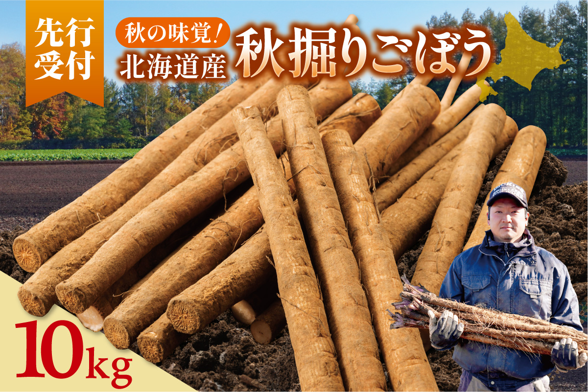 先行受付！2026年10月頃～発送開始！北海道十勝清水町産 秋堀り 新鮮 ごぼう！ 10kg 北海道産 ごぼう 土付ごぼう ゴボウ 根菜_S045-0004