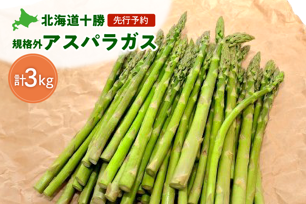 【先行予約】ハネ品のアスパラたち 3kg！_S021-0008