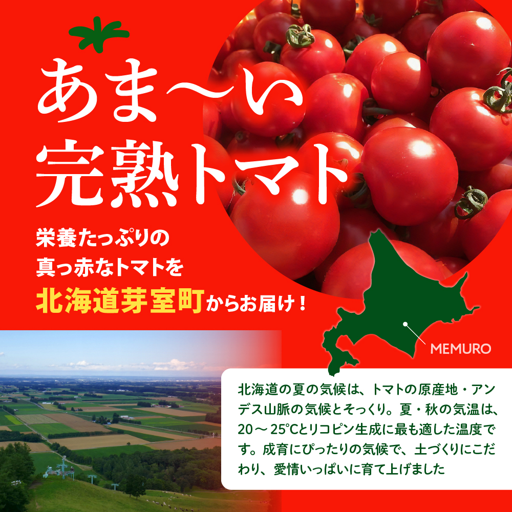 【先行受付】【2026年8月上旬より発送】北海道十勝芽室町 なまら十勝野の旬の完熟トマトを3～4品種詰め合わせた食べ比べセット me001-013c