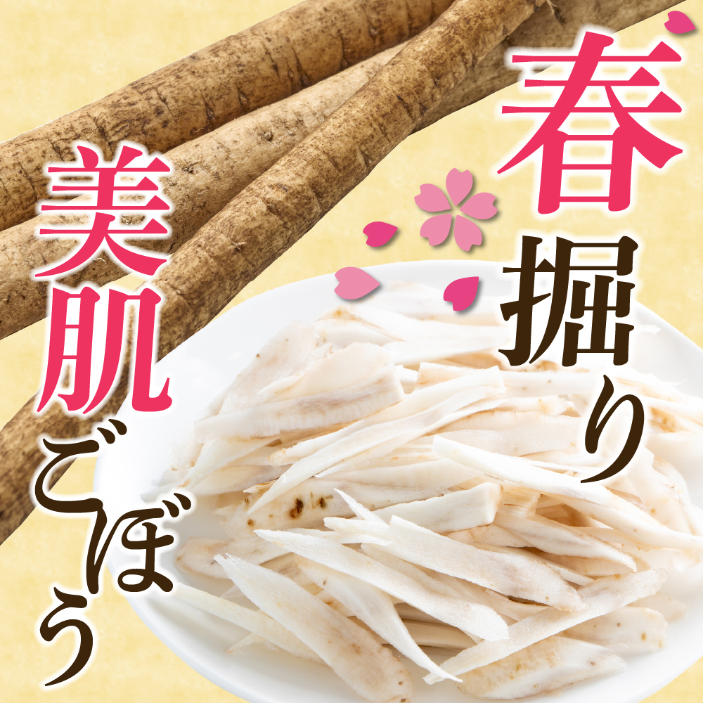【先行受付】【2025年5月中旬より順次発送】北海道十勝芽室町 なまら十勝野 芽室町産 春掘り美肌ごぼう【ユキシズク】L5kg me001-035c