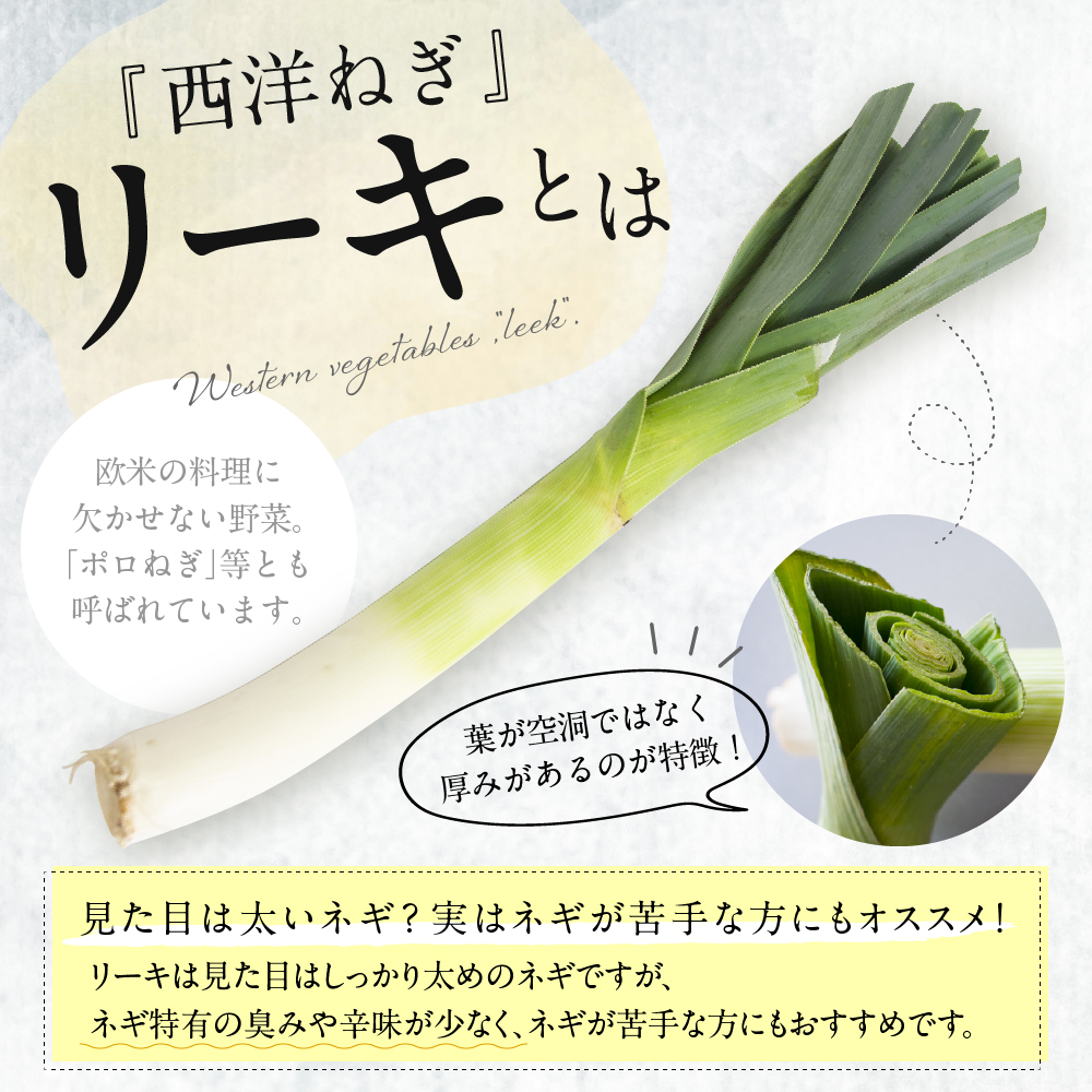 【先行受付】【2026年11月より発送】北海道十勝芽室町　なまら十勝野の鳥本農場リーキ 6本 me001-046c