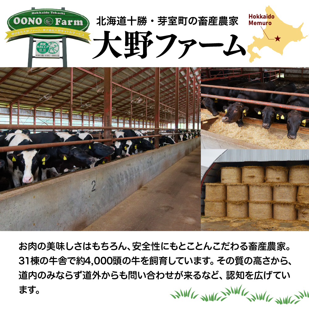 北海道十勝芽室町 カウ・カウビーフカレー 5個セット 未来とかち牛100％使用 me007-008c