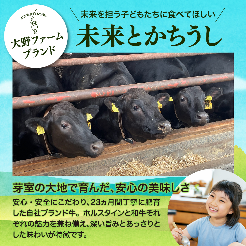 北海道十勝芽室町 カウ・カウビーフシチュー カウ・カウビーフカレー 各2個セット 未来とかち牛100％使用 me007-009c