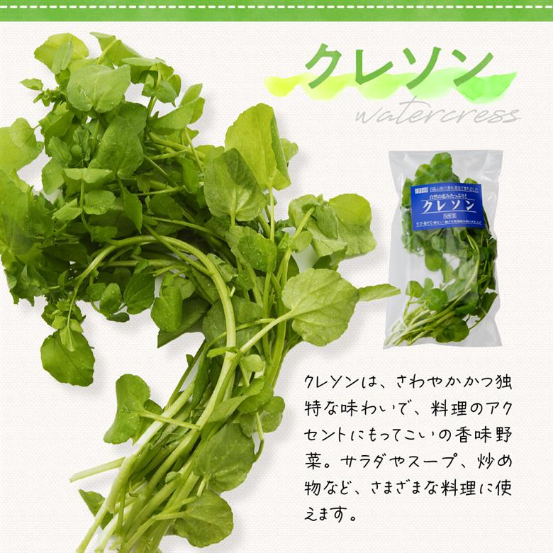 【先行受付】【2026年4月下旬より発送】北海道十勝芽室町 めむろ春一番旬の恵みセットＡ me011-002c