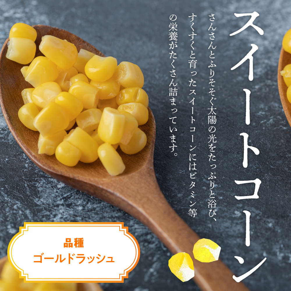 北海道 十勝 芽室町 極甘つぶコーン ×ごぼうご飯の素 me016-005c