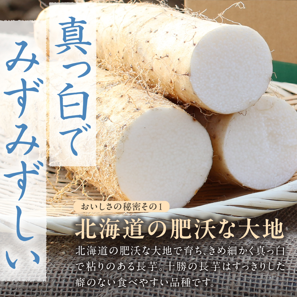 北海道十勝芽室町 ファーム・ミリオンの長芋【土付き】　10㎏ me016-013c
