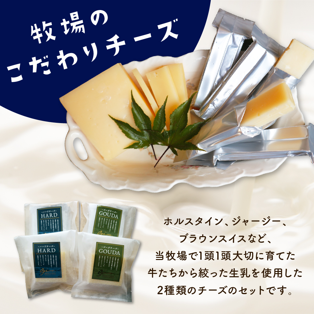 4月発送 北海道十勝芽室町 牧場チーズ２種類セット me020-005c-4 4月