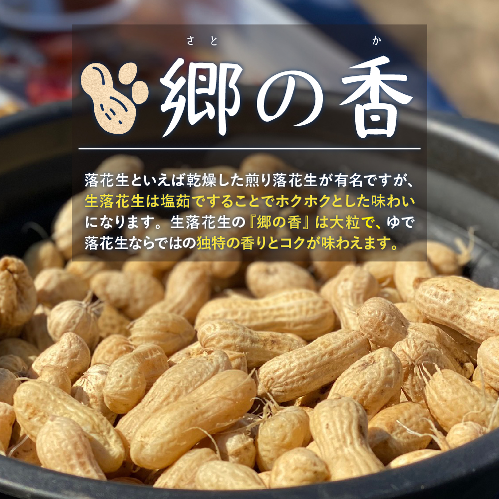 【2026年出荷分】北海道十勝芽室町 生落花生 茹で用 郷の香 1kg me028-003c-26