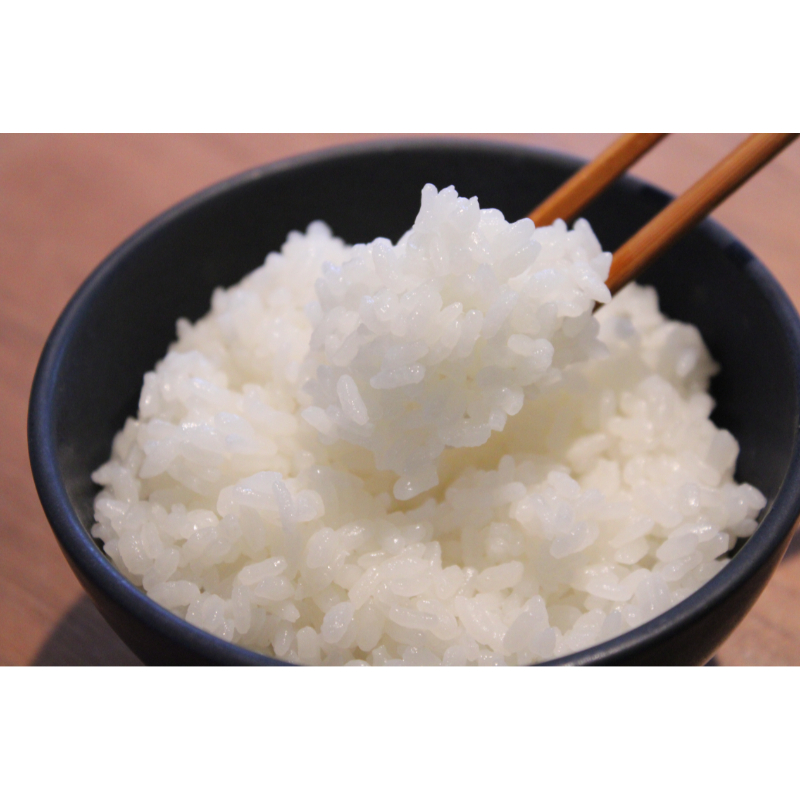 【2025.2月スタート 隔月4回定期便】北海道産米 ななつぼし5kg me047-006c-2k