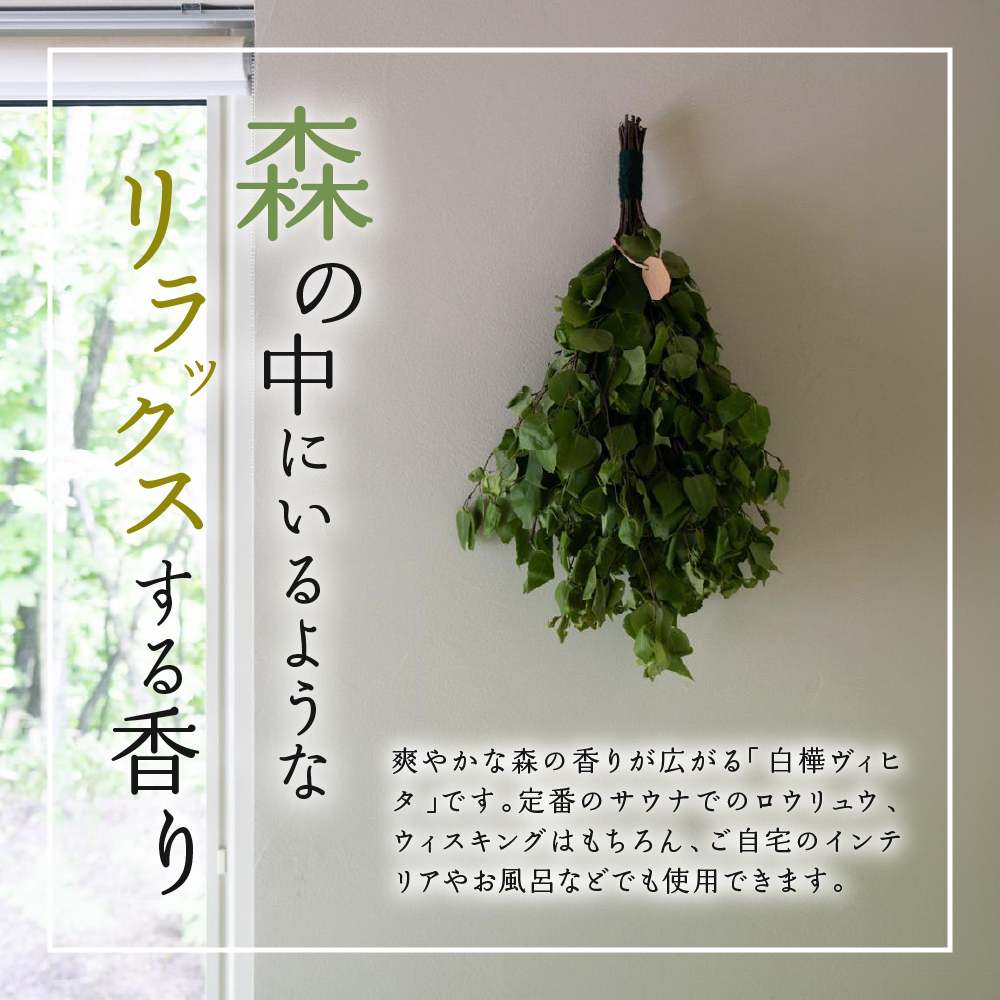 【先行受付】北海道芽室町産「白樺ヴィヒタ」１束　me055-001c-3