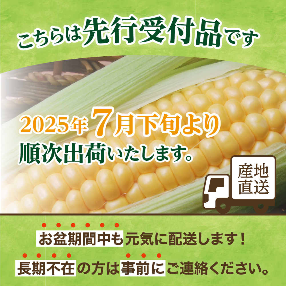 【2025年先行受付】朝採りをお届け！ 北海道十勝芽室町　蝦夷っ子とうもろこし ゴールドラッシュ 6本 me076-008c-25
