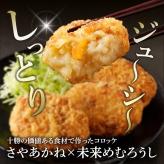 北海道十勝芽室町 十勝の肉じゃがコロッケ【勝コロ】4個入り×4パック me067-006c