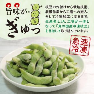 北海道十勝芽室町　十勝めむろ 業務用えだまめ 1袋500g ×20袋 me003-081c