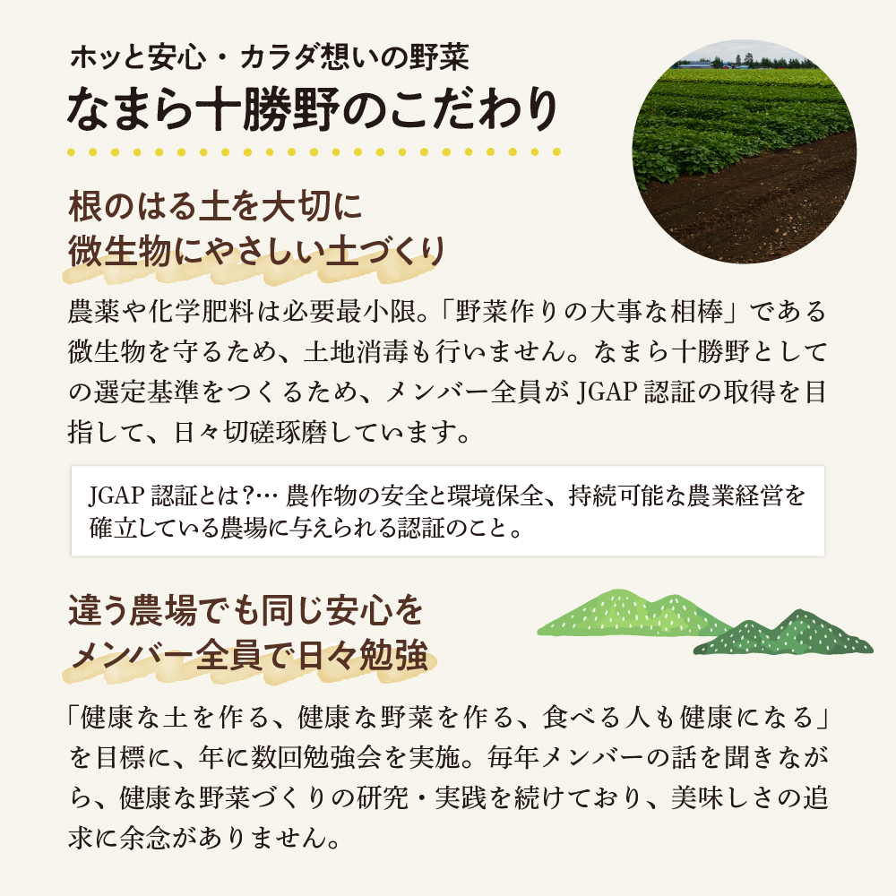【2026年10月より配送】北海道十勝芽室町 なまら十勝野の季節のおまかせ野菜セット（秋） me001-004c