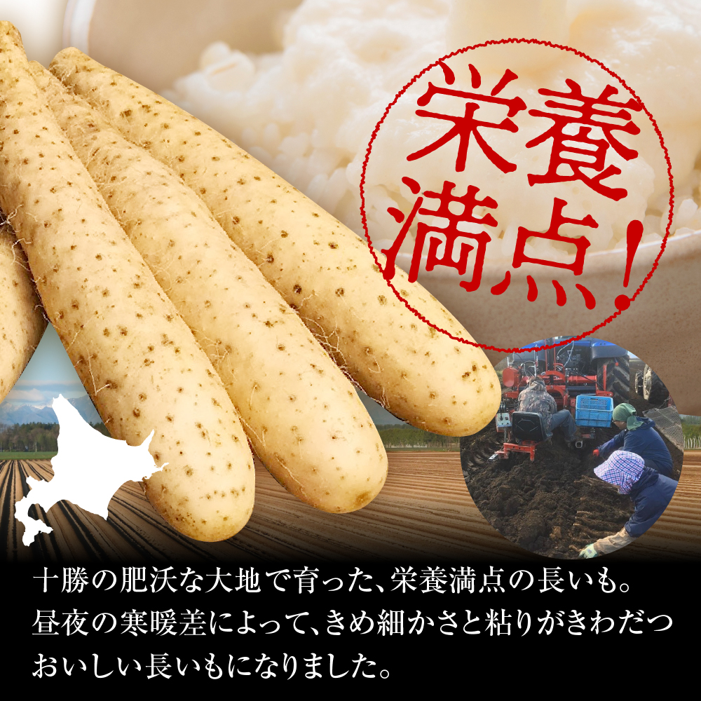 【12月中旬以降発送】北海道十勝芽室町 なまら十勝野の長いも ５kg me001-010c