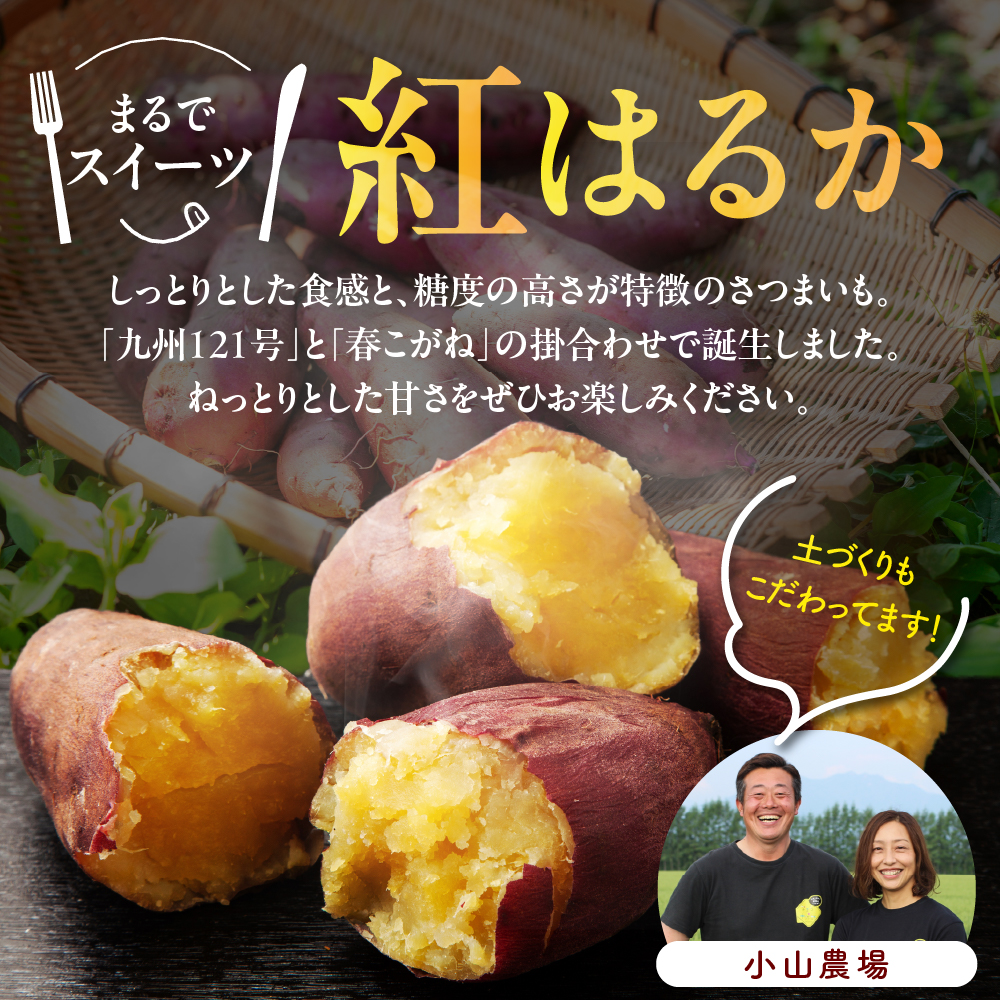 【12月以降発送】北海道十勝芽室町 なまら十勝野 芽室町産さつまいも【紅はるか】５㎏　me001-029c