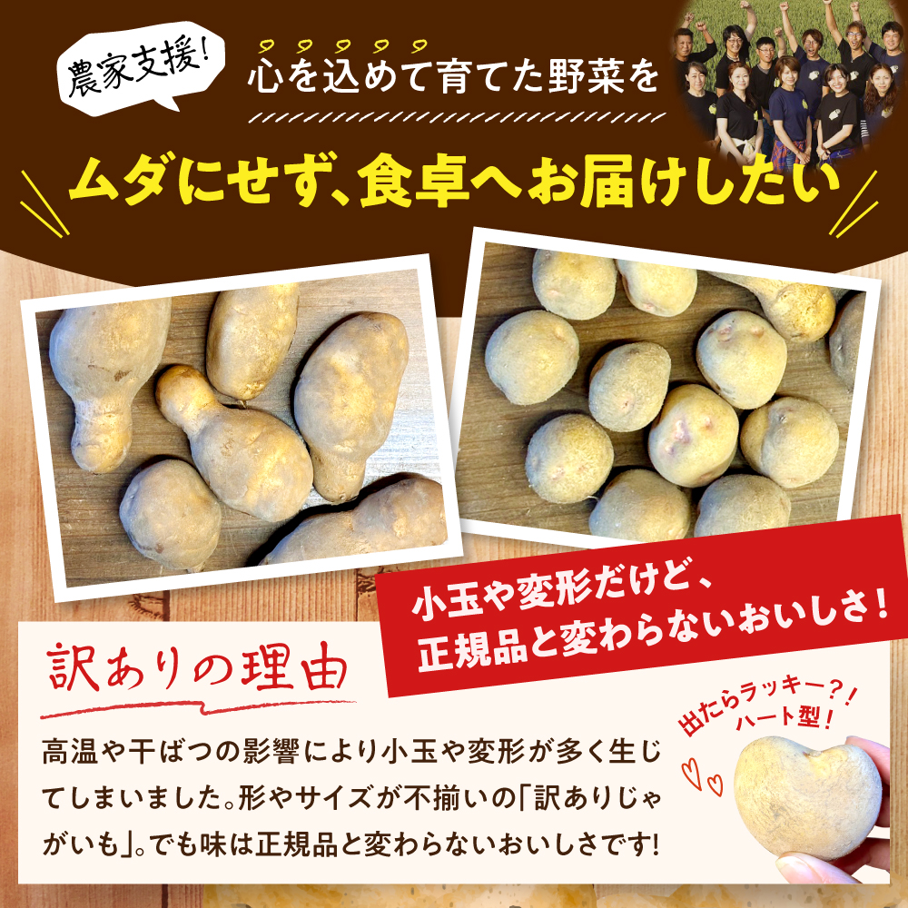 【10月上旬～1月下旬頃配送】【訳あり】北海道十勝芽室町 農家応援じゃがいも 北海こがね（変形）5㎏　me001-050c-3