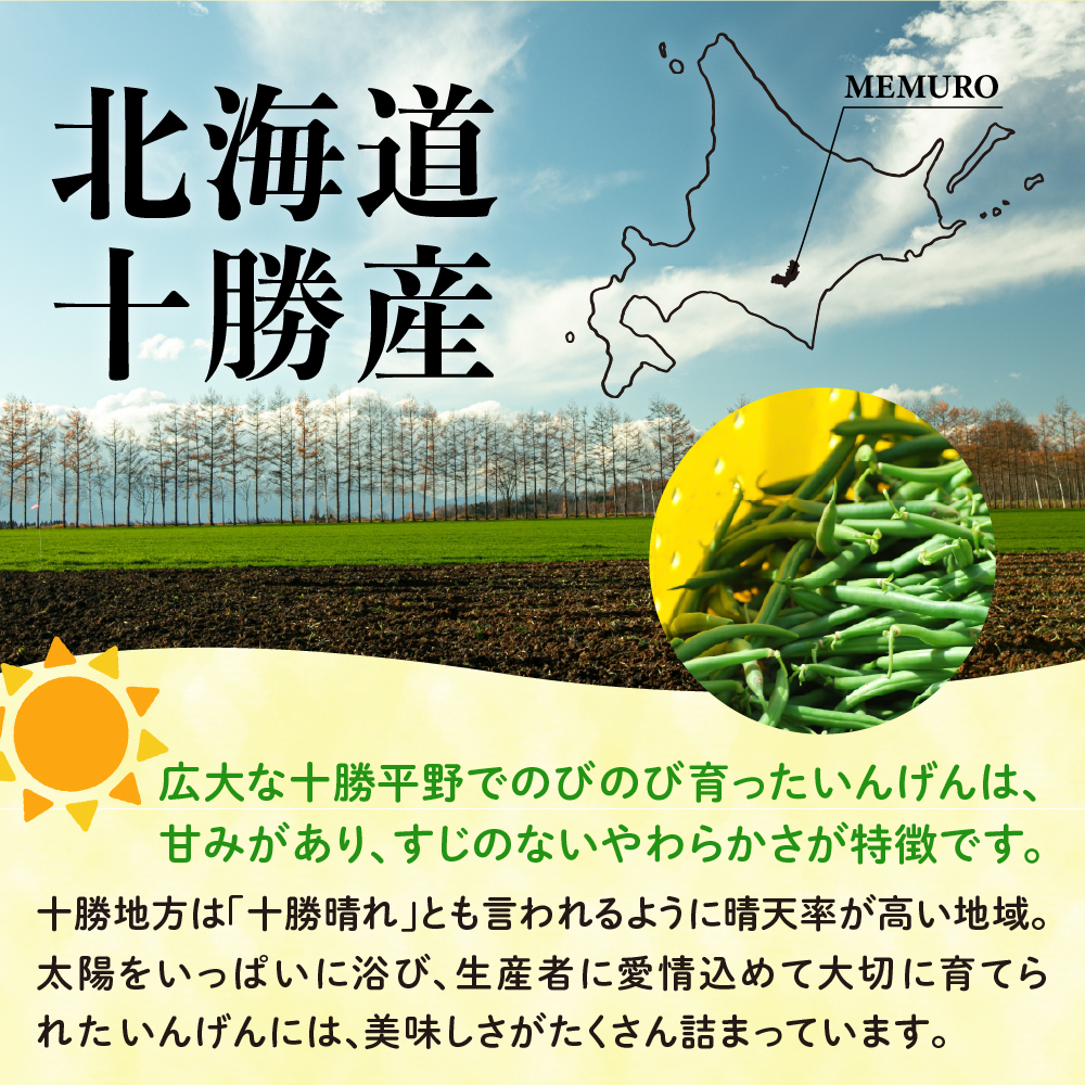 北海道十勝芽室町 十勝めむろ 冷凍野菜 いんげん 300g×3袋 me003-120c